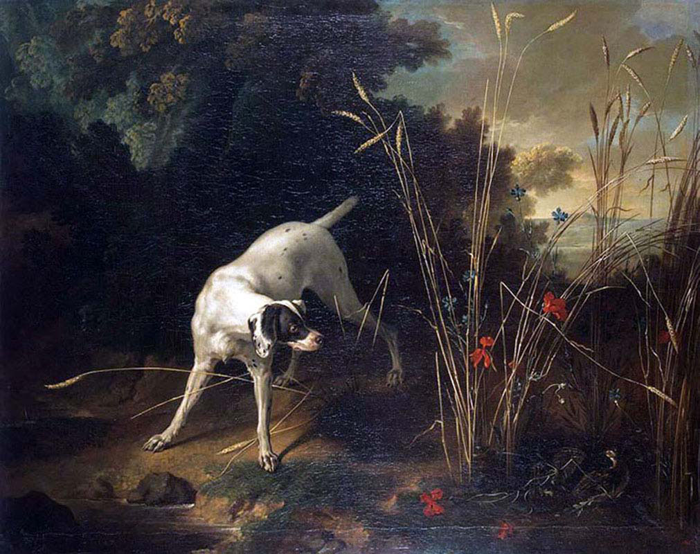Dog Pointing a partridge